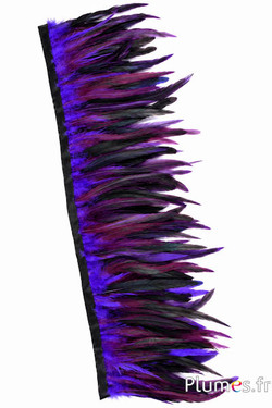 Collo di gallo - lungh. piume 20-25 cm - nero-viola